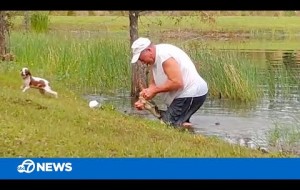 Florida man wrestles puppy from jaws of alligator