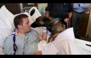 Injured Auburn officer visited by K9 partner