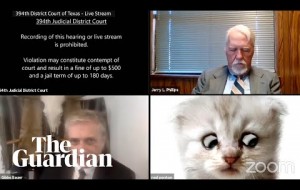 'I’m not a cat': lawyer gets stuck on Zoom kitten filter during court case