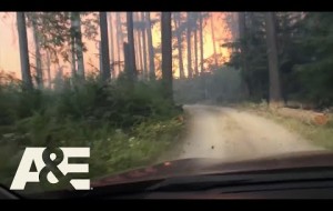 Nature Gone Wild: Wildfire