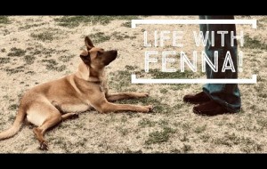 DoG update...LiFE WiTH FENNA!